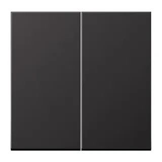 Jung Wippe für Taster 2fach, Aluminium lackiert, Serie LS, dark (lackiertes Aluminium) AL102D