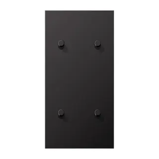 Jung Abdeckung mit Kipphebel, Zylinder, 2fach, 2 x 2 Kipphebel, senkrecht, Serie LS 1912, dark (lackiertes Aluminium) AL12-25DR01