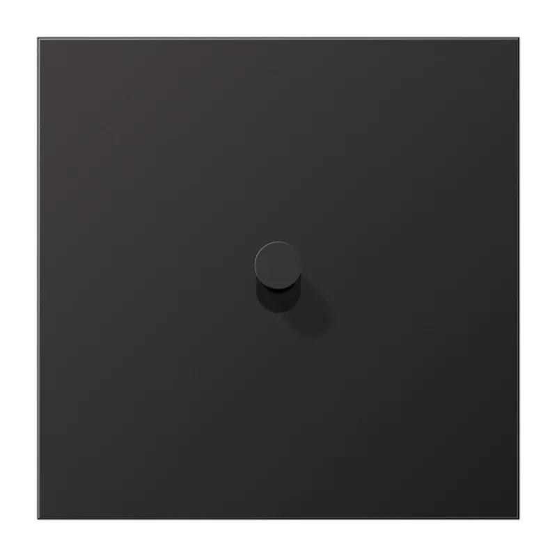 Jung Abdeckung mit Kipphebel, Kegel, 1fach, 1 Kipphebel, Serie LS 1912, dark (lackiertes Aluminium) AL12-0DK01