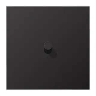 Jung Abdeckung mit Kipphebel, Kegel, 1fach, 1 Kipphebel, Serie LS 1912, dark (lackiertes Aluminium) AL12-0DK01