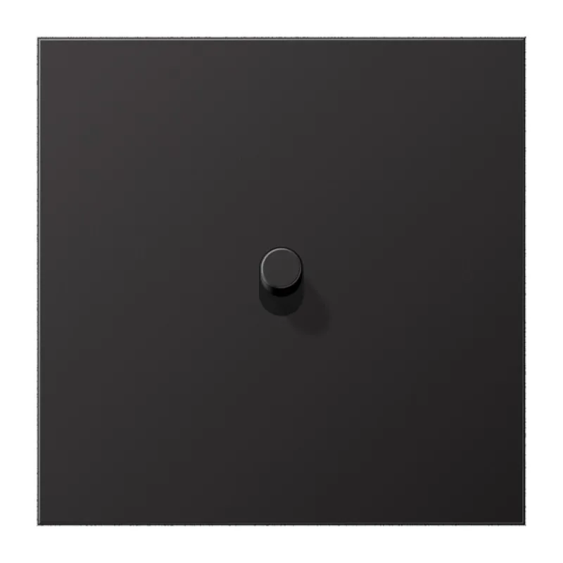 Jung Abdeckung mit Kipphebel, Zylinder, 1fach, 1 Kipphebel, Serie LS 1912, dark (lackiertes Aluminium) AL12-0DR01