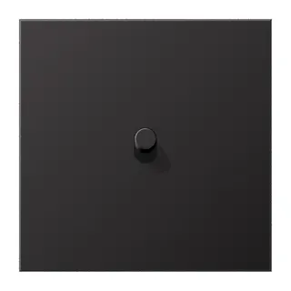 Jung Abdeckung mit Kipphebel, Zylinder, 1fach, 1 Kipphebel, Serie LS 1912, dark (lackiertes Aluminium) AL12-0DR01
