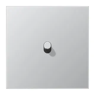 Jung Abdeckung mit Kipphebel, Zylinder, 1fach, 1 Kipphebel, Serie LS 1912, Aluminium AL12-0R0