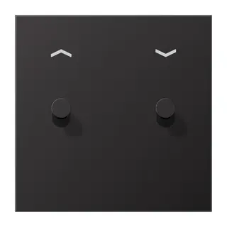 Jung Abdeckung mit Kipphebel, Kegel, 1fach, 2 Kipphebel, mit Pfeilsymbolen, Serie LS 1912, dark (lackiertes Aluminium) AL12-5PDK01
