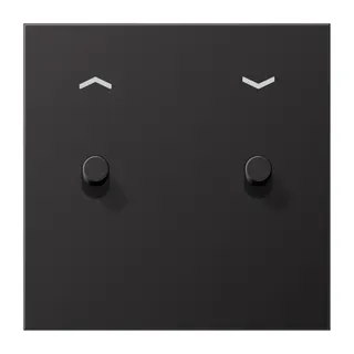 Jung Abdeckung mit Kipphebel, Zylinder, 1fach, 2 Kipphebel, mit Pfeilsymbolen, Serie LS 1912, dark (lackiertes Aluminium) AL12-5PDR01