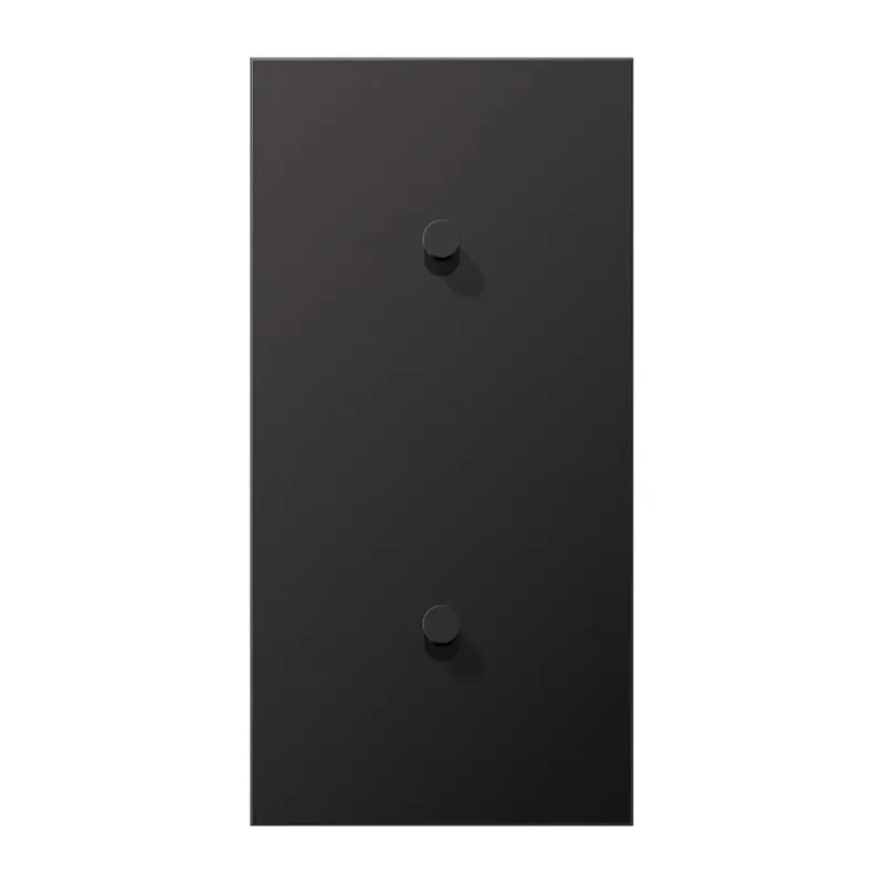 Jung Abdeckung mit Kipphebel, Kegel, 2fach, 2 x 1 Kipphebel, senkrecht, Serie LS 1912, dark (lackiertes Aluminium) AL12-20DK01