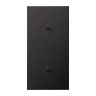Jung Abdeckung mit Kipphebel, Kegel, 2fach, 2 x 1 Kipphebel, senkrecht, Serie LS 1912, dark (lackiertes Aluminium) AL12-20DK01