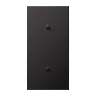Jung Abdeckung mit Kipphebel, Zylinder, 2fach, 2 x 1 Kipphebel, senkrecht, Serie LS 1912, dark (lackiertes Aluminium) AL12-20DR01