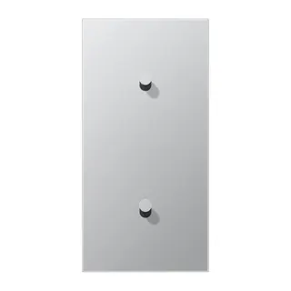 Jung Abdeckung mit Kipphebel, Kegel, 2fach, 2 x 1 Kipphebel, senkrecht, Serie LS 1912, Aluminium AL12-20K0