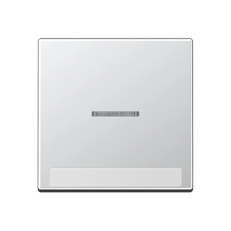 Jung Wippe 1fach mit Lichtleiter, mit Schriftfeld, Thermoplast lackiert, Serie A, aluminium A590BFNAKO5AL