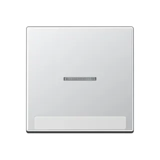 Jung Wippe 1fach mit Lichtleiter, mit Schriftfeld, Thermoplast lackiert, Serie A, aluminium A590BFNAKO5AL