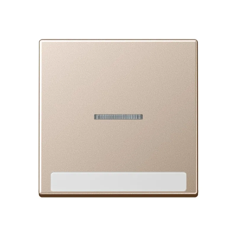 Jung Wippe 1fach mit Lichtleiter, mit Schriftfeld, Thermoplast lackiert, Serie A, champagner A590BFNAKO5CH