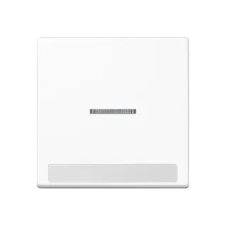 Jung Wippe 1fach mit Lichtleiter, mit Schriftfeld, Thermoplast, Serie A, alpinweiß A590BFNAKO5WW