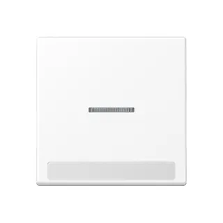 Jung Wippe 1fach mit Lichtleiter, mit Schriftfeld, Thermoplast lackiert, Serie A, schneeweiß matt A590BFNAKO5WWM