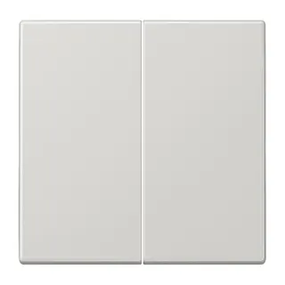 Jung Wippe für Taster 2fach, Duroplast, Serie LS, lichtgrau LS102LG