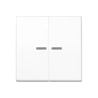 Jung Wippe mit Lichtleiter für Taster 2fach, Duroplast, Serie AS, alpinweiß AS102KO5WW