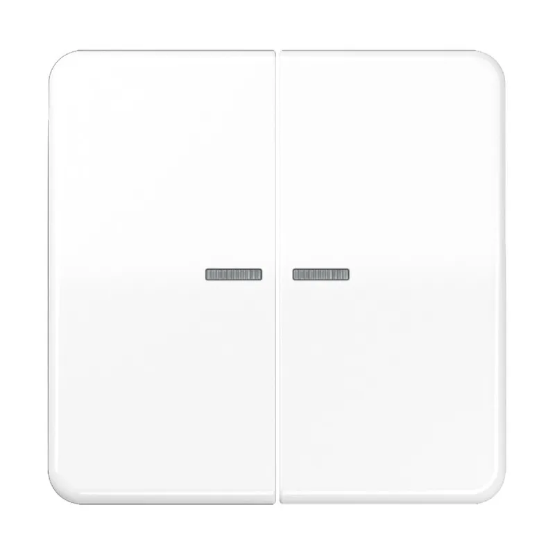 Jung Wippe mit Lichtleiter für Taster 2fach, Duroplast, Serie CD, alpinweiß CD102KO5WW