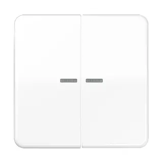 Jung Wippe mit Lichtleiter für Taster 2fach, Duroplast, Serie CD, alpinweiß CD102KO5WW