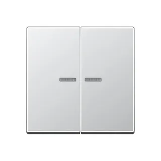 Jung Wippe mit Lichtleiter für Taster 2fach, Serie A, aluminium A102KO5AL