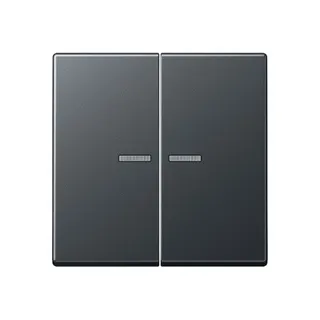 Jung Wippe mit Lichtleiter für Taster 2fach, Thermoplast lackiert, Serie A, anthrazit matt A102KO5BFANM