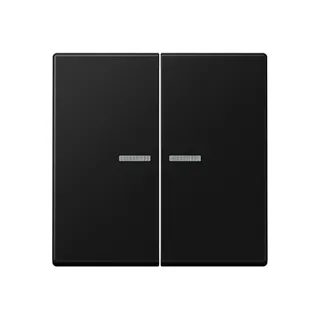 Jung Wippe 2fach mit Lichtleiter, Serie A, graphitschwarz matt A595KO5SWM