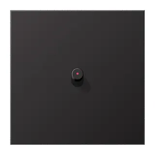 Jung Abdeckung mit Kipphebel mit Kalotte, Zylinder, 1fach, 1 Kipphebel, Serie LS 1912, dark (lackiertes Aluminium) AL12-0KODR01