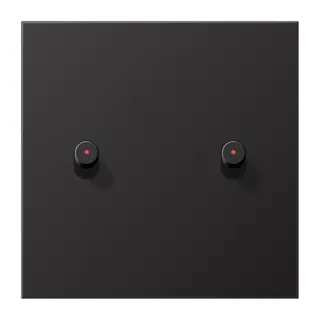 Jung Abdeckung mit Kipphebel mit Kalotte, Zylinder, 1fach, 2 Kipphebel, Serie LS 1912, dark (lackiertes Aluminium) AL12-5KODR01