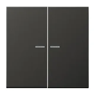 Jung Wippe mit Lichtleiter für Taster 2fach, Aluminium lackiert, Serie LS, anthrazit (lackiertes Aluminium) AL102KO5AN