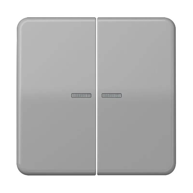 Jung Wippe mit Lichtleiter für Taster 2fach, Duroplast, Serie CD, grau CD102KO5GR