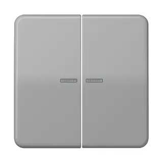 Jung Wippe mit Lichtleiter für Taster 2fach, Duroplast, Serie CD, grau CD102KO5GR
