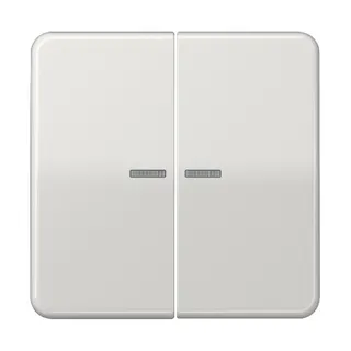 Jung Wippe mit Lichtleiter für Taster 2fach, Duroplast, Serie CD, lichtgrau CD102KO5LG