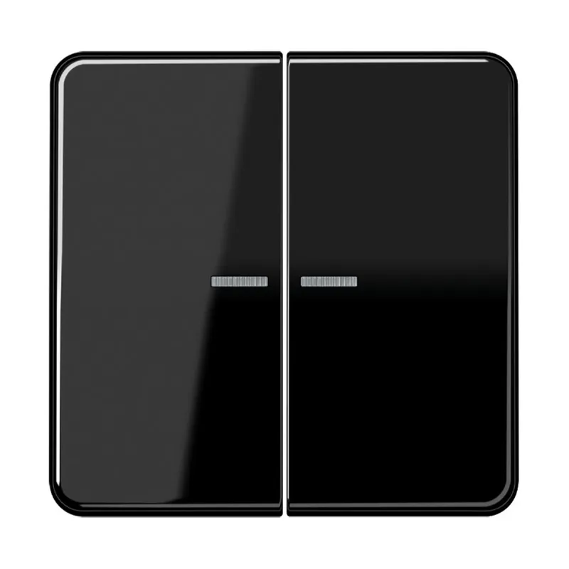 Jung Wippe mit Lichtleiter für Taster 2fach, Duroplast, Serie CD, schwarz CD102KO5SW