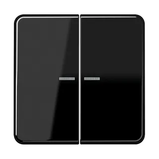 Jung Wippe mit Lichtleiter für Taster 2fach, Duroplast, Serie CD, schwarz CD102KO5SW