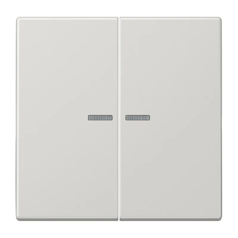 Jung Wippe mit Lichtleiter für Taster 2fach, Duroplast, Serie LS, lichtgrau LS102KO5LG