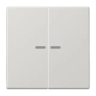 Jung Wippe mit Lichtleiter für Taster 2fach, Duroplast, Serie LS, lichtgrau LS102KO5LG