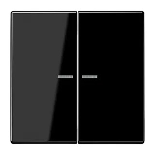 Jung Wippe mit Lichtleiter für Taster 2fach, Duroplast, Serie LS, schwarz LS102KO5SW