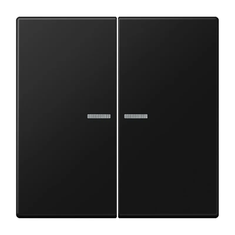 Jung Wippe 2fach mit Lichtleiter, Serie LS, graphitschwarz matt LS995KO5SWM