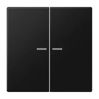 Jung Wippe 2fach mit Lichtleiter, Serie LS, graphitschwarz matt LS995KO5SWM