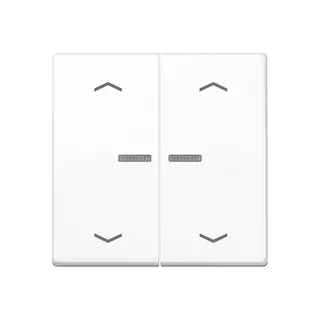 Jung Wippe mit Lichtleiter, mit Pfeilsymbolen für Taster 2fach, Duroplast, Serie AS, alpinweiß AS102KO5PWW