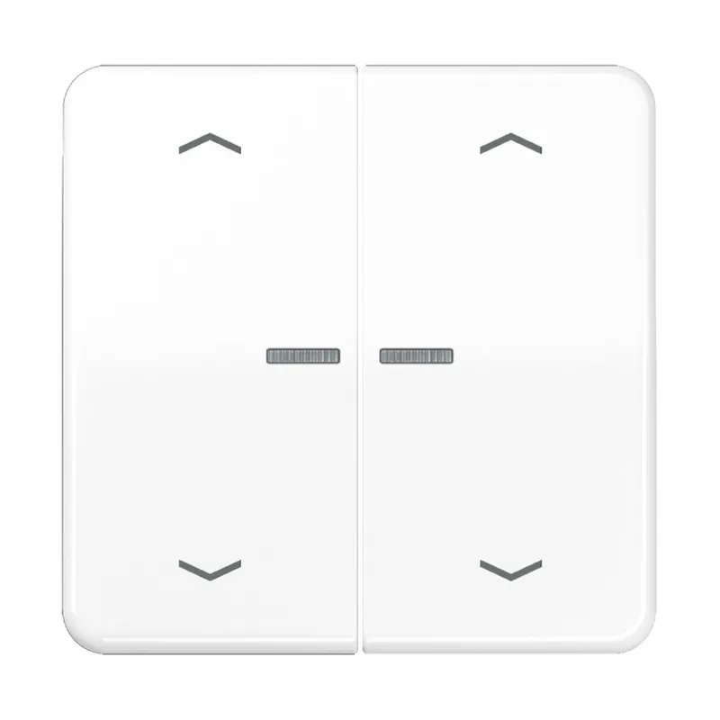 Jung Wippe mit Lichtleiter, mit Pfeilsymbolen für Taster 2fach, Duroplast, Serie CD, alpinweiß CD102KO5PWW