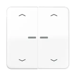 Jung Wippe mit Lichtleiter, mit Pfeilsymbolen für Taster 2fach, Duroplast, Serie CD, alpinweiß CD102KO5PWW