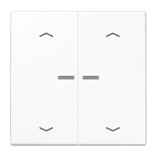 Jung Wippe mit Lichtleiter, mit Pfeilsymbolen für Taster 2fach, Duroplast, Serie LS, alpinweiß LS102KO5PWW