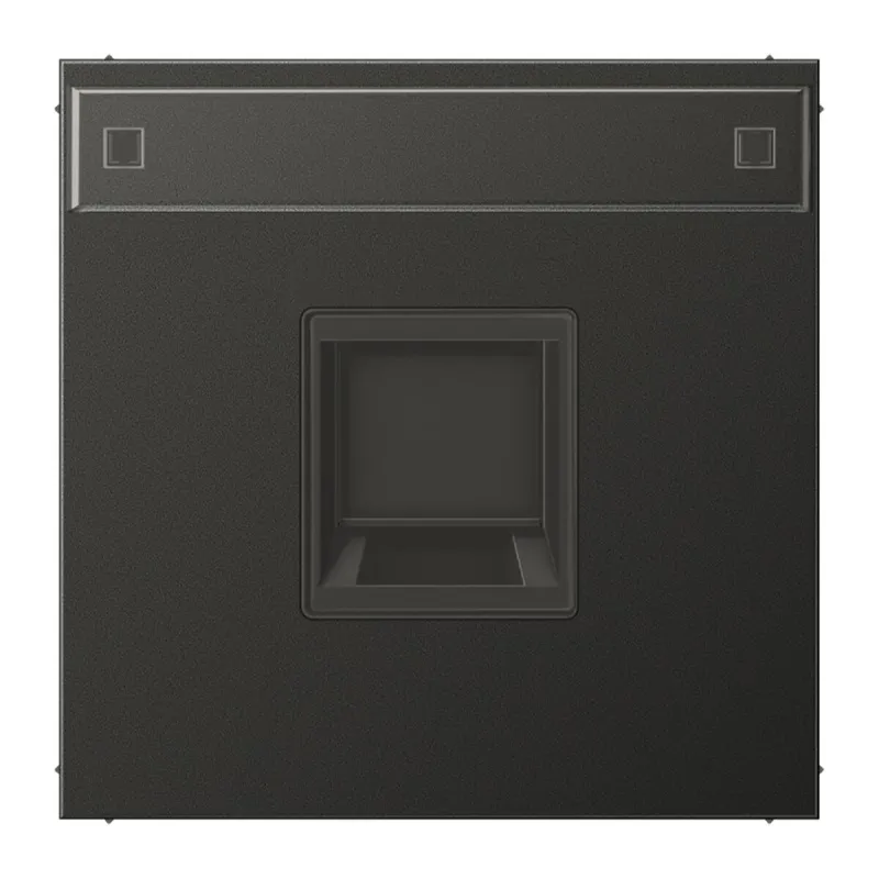 Jung Abdeckung (gerastet) für Modular-Jack-Steckbuchsen 1fach, UMA-CAT6A, RADIALL, Panduit, Assmann, mit Schriftfeld, Aluminium lackiert, Serie LS, anthraz AL1969-1NAWEAN