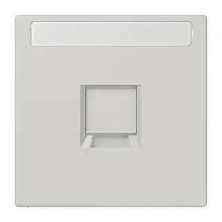 Jung Abdeckung (gerastet) für Modular-Jack-Steckbuchsen 1fach, Serie LS, lichtgrau LS1969-1NAWELG