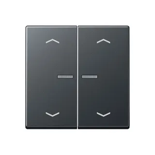 Jung Wippe mit Lichtleiter, mit Pfeilsymbolen für Taster 2fach, Thermoplast lackiert, Serie A, anthrazit matt A102KO5PBFANM