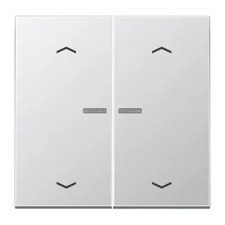 Jung Wippe mit Lichtleiter, mit Pfeilsymbolen für Taster 2fach, Serie LS, Aluminium AL102KO5P