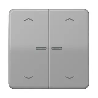 Jung Wippe mit Lichtleiter, mit Pfeilsymbolen für Taster 2fach, Duroplast, Serie CD, grau CD102KO5PGR