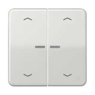Jung Wippe mit Lichtleiter, mit Pfeilsymbolen für Taster 2fach, Duroplast, Serie CD, lichtgrau CD102KO5PLG