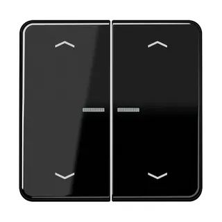 Jung Wippe mit Lichtleiter, mit Pfeilsymbolen für Taster 2fach, Duroplast, Serie CD, schwarz CD102KO5PSW