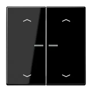 Jung Wippe mit Lichtleiter, mit Pfeilsymbolen für Taster 2fach, Duroplast, Serie LS, schwarz LS102KO5PSW